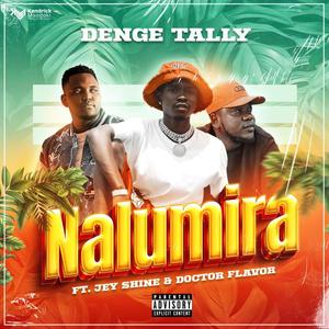 NALUMIRA (feat. Modizzo & Doctor Flavour)