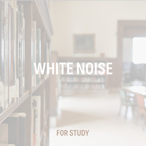 White Noise For Study