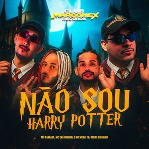 Não Sou Harry Potter (Explicit)