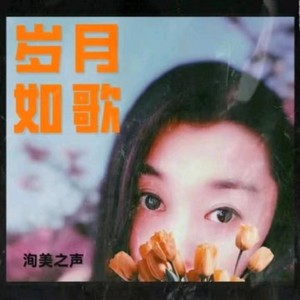 昨夜星辰DJ