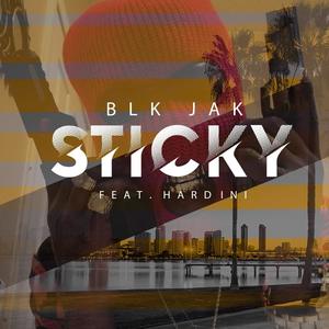 Sticky (feat. Hardini) (Explicit)