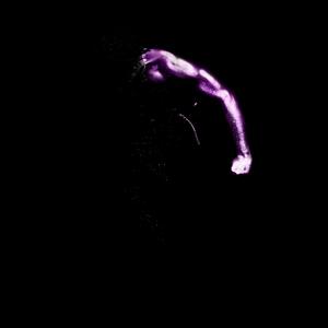 Kwelit - SexyNiggaMusik. (Explicit)