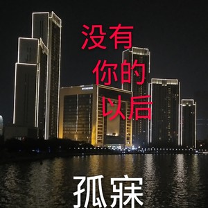 没有你的以后