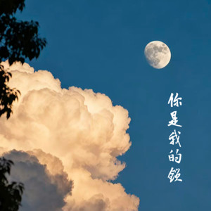 你是我的锁 (伤感男声版)