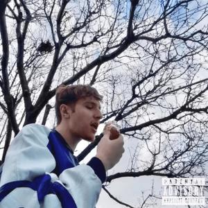 Ally Cats (Explicit)