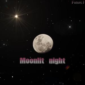 月夜moonlit night