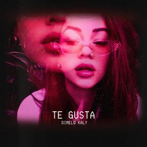 TE GUSTA