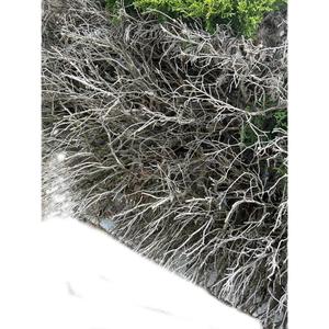 Hold You Close (Explicit)