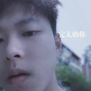 完美的你