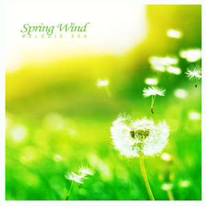 봄바람 (Spring Wind)