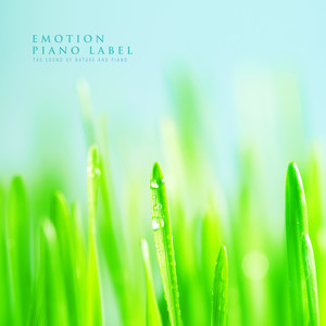 여름 하늘의 미소 (Smile Of Summer Sky) (Nature Ver.)