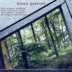 Biorn Quartet