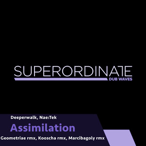 Assimilation (Geometriae Rmx)