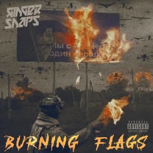 Burning Flags (single) [Explicit]