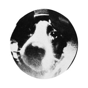 HOWWILLYOUSURVIVE? (feat. Marika Sage & AR the Eternal) (Explicit)