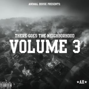 There Goes The Neighborhood Volume 3 (Explicit)