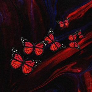 Butterfly Doors (Explicit)