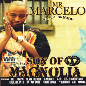 Son Of Magnolia