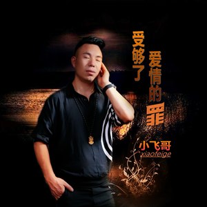 受够了爱情的罪 (DJ版)