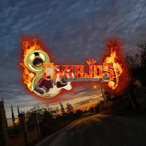 La Abeja Miope (En vivo)