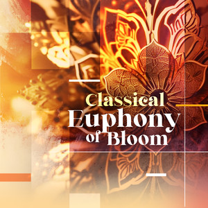 Classical Euphony of Bloom - Divertimento for Cello and Orchestra in D Major: III. Allegro di molto