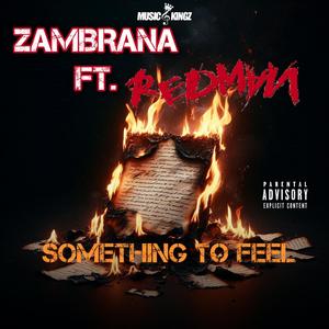 Something To Feel (feat. Redman) (Explicit)