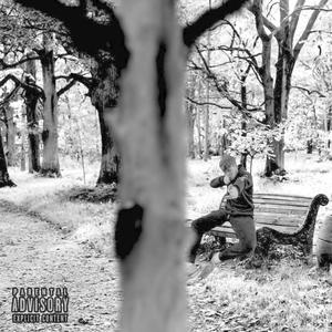 Phuh King Idiot (feat. Lil sus) (Explicit)