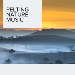 Green Forest Steady Campfire