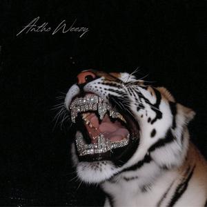 FIRESTARTER (feat. Triz) (INSTRUMENTAL)