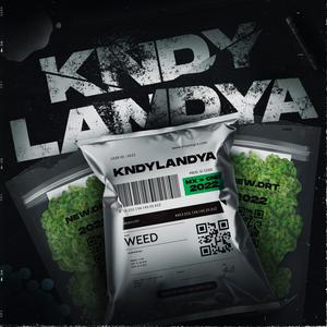 Kndylandya