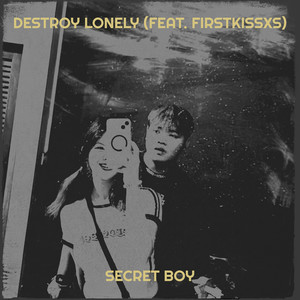 Destroy Lonely