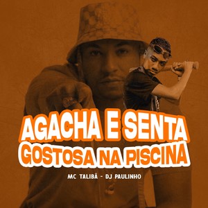 Agacha e Senta Gostosa Na Piscina (Explicit)