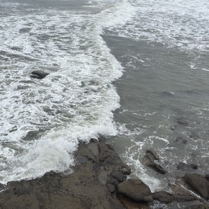 it's been a long journey, hasn't it?