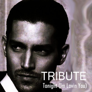 True Stars - Tonight(I'm Lovin' You){feat. Ludacris & DJ Frank E} (Enrique Iglesias Tribute)