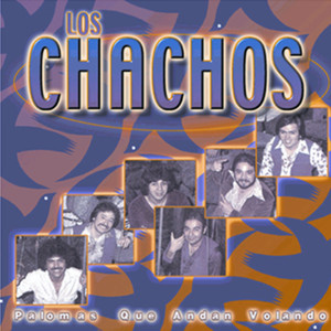 Palomas Que Andan Volando