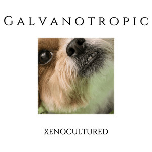 Galvanotropic