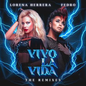 VIVO LA VIDA The Remixes