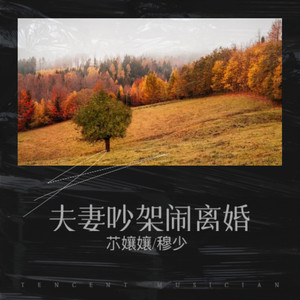 夫妻吵架闹离婚