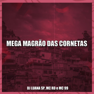 DJ Luana SP - Mega Magrão das Cornetas (Explicit)