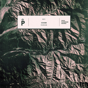 Moog Levv (Richard Rossa Remix)