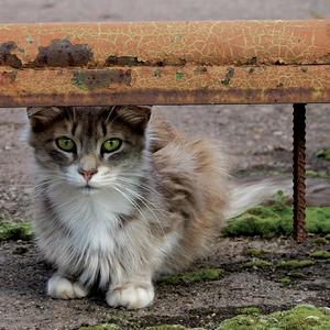 12pm'04 (skit by 12pm cru)