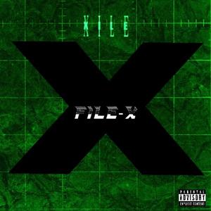 Count my Fallen (Explicit)