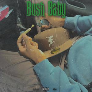 Bush Baby (Explicit)