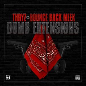 DUMB EXTENSIONS (feat. Bounce Back Meek) (Explicit)