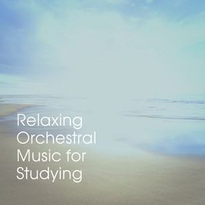 Relaxing Orchestral Music for Studying