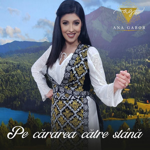 Pe Cărarea Către Stână