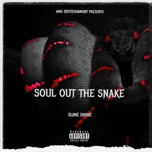 Soul Out The Snake (Explicit)