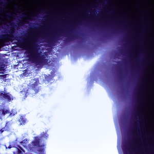 fading echoes (Super Slowed)