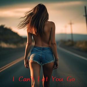 I Can't Let You Go (Auston Remix Radio Edit)