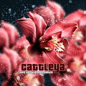 Cattleya (feat. Marvin)